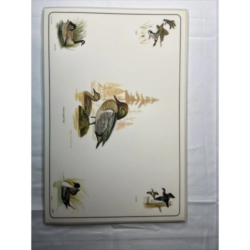 6 Vtg 1969 Placemats & Descriptions Mel Hunter Ducks Mallard Winged Teal 17x11